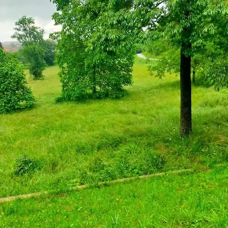 Il Bosco Incantato 3* Borgo San Dalmazzo