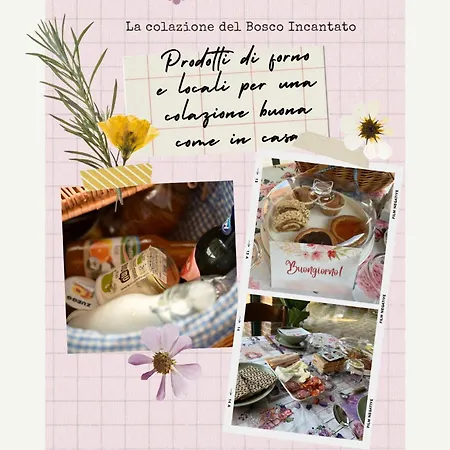 فندق مبيت وإفطار Il Bosco Incantato 3*