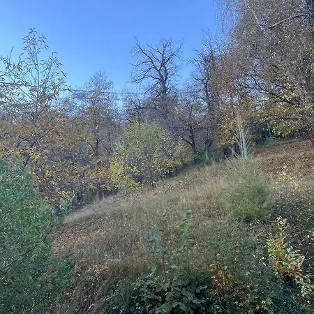 Il Bosco Incantato Panzió 3*