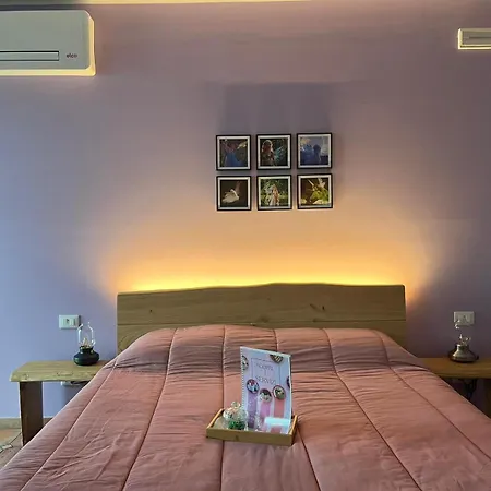 Il Bosco Incantato 3*