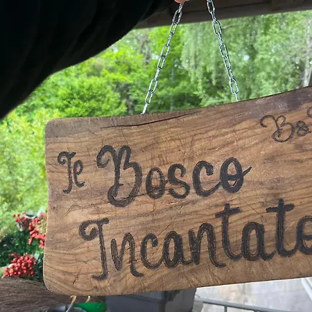 Il Bosco Incantato فندق مبيت وإفطار بورغو سان دالمازو