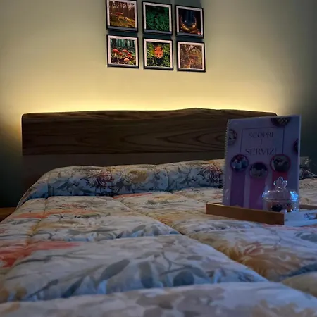 Il Bosco Incantato 3* Borgo San Dalmazzo